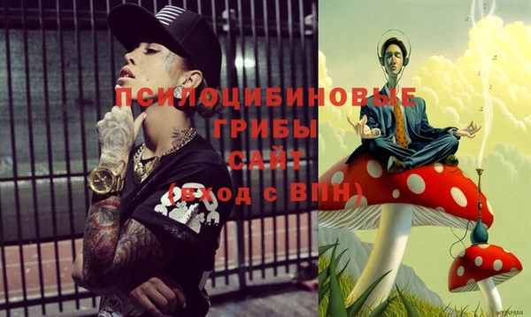 хмурый Алексеевка