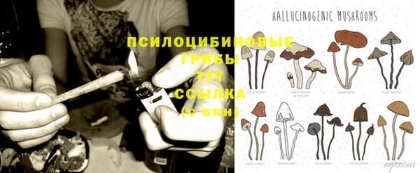 гашишное масло Аркадак